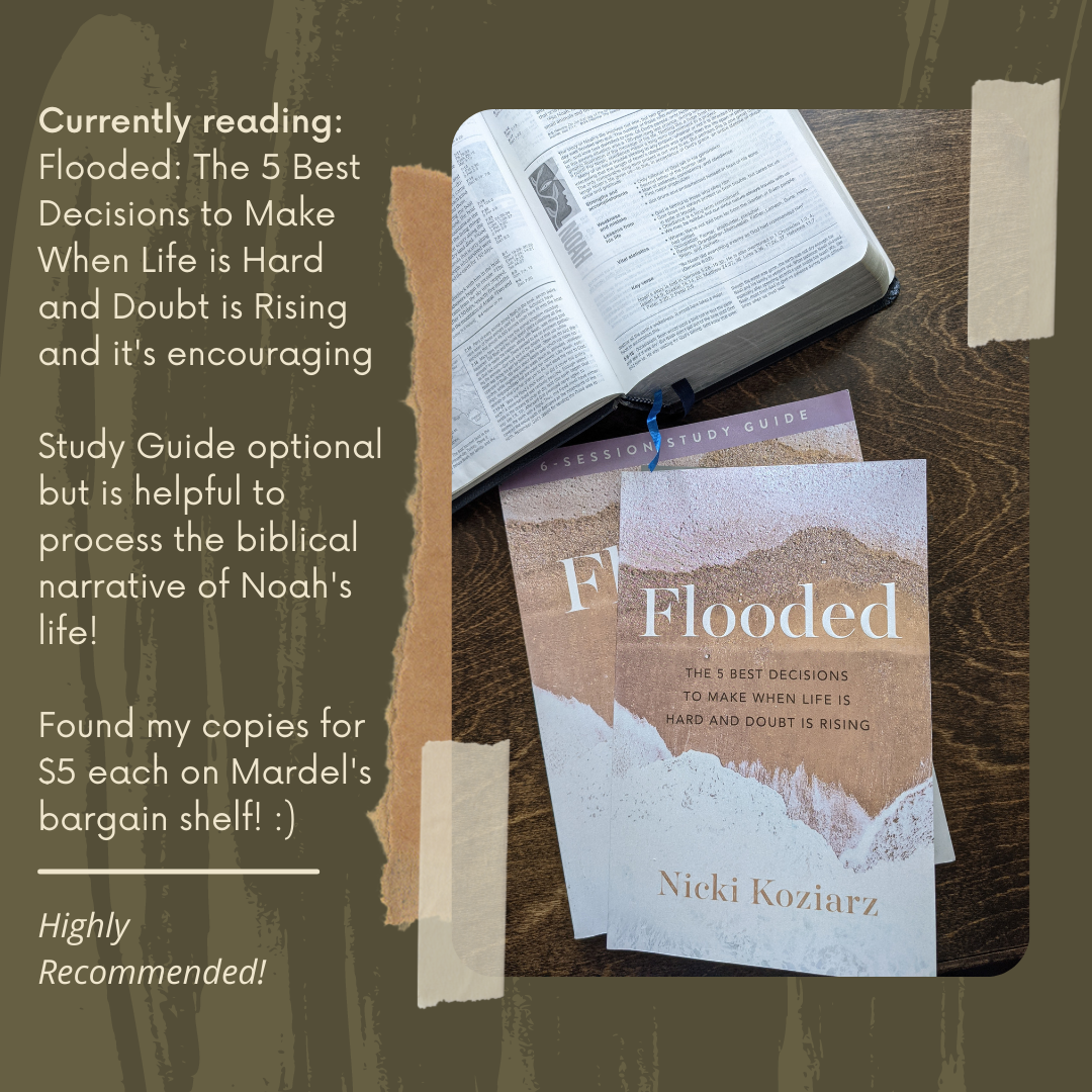 Currently reading Flooded The 5 Best Decisions to Make When Life is Hard and Doubt is Rising and it's encouraging!